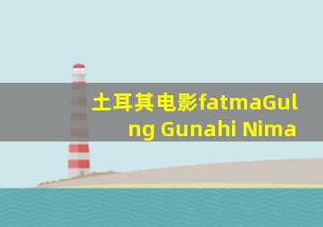 土耳其电影fatmaGulng Gunahi Nima